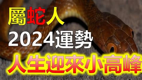 屬蛇今年|2024屬蛇幾歲、2024屬蛇運勢、幸運色、財位、禁忌